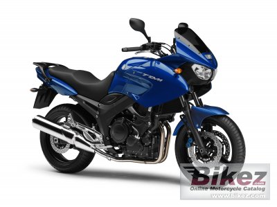2009 Yamaha TDM 900 photo